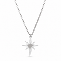 Shaded North Star Necklace